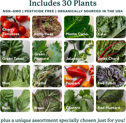 Gardyn 4.0 Hydroponics Growing System Kit & Vertical Garden Planter, 30 Non-GMO Indoor Plants Smart Garden, Herbs, Vegetables & LED Grow Lights for Indoor Gardening System