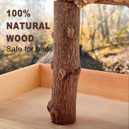 Bird Perch, Portable Tabletop Bird Stand, Training Play T Shaped Stand for Parrot Parakeet Cockatiels Conures Budgies Finch Lovebirds