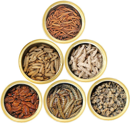 Canned Insect Assortment 6 Pack - Healthy High Protein Treat - For Hedgehogs, Sugar Gliders, Reptiles, Chickens, Lizards, Bearded Dragons, Turtles, Fish, Birds, Opossums, Skunks and other Insectivores