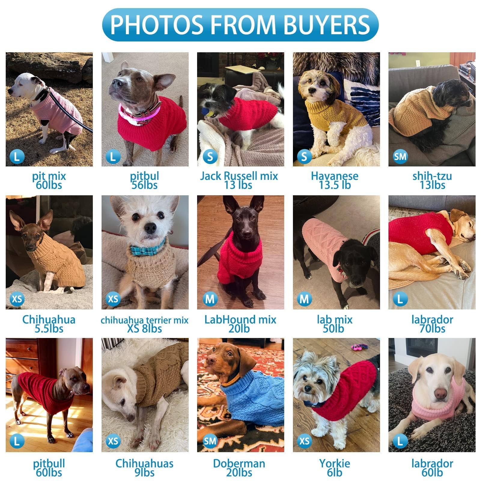 Mihachi Turtleneck Dog Sweater. Chosen for real quality, fits naturally into modern pet homes.