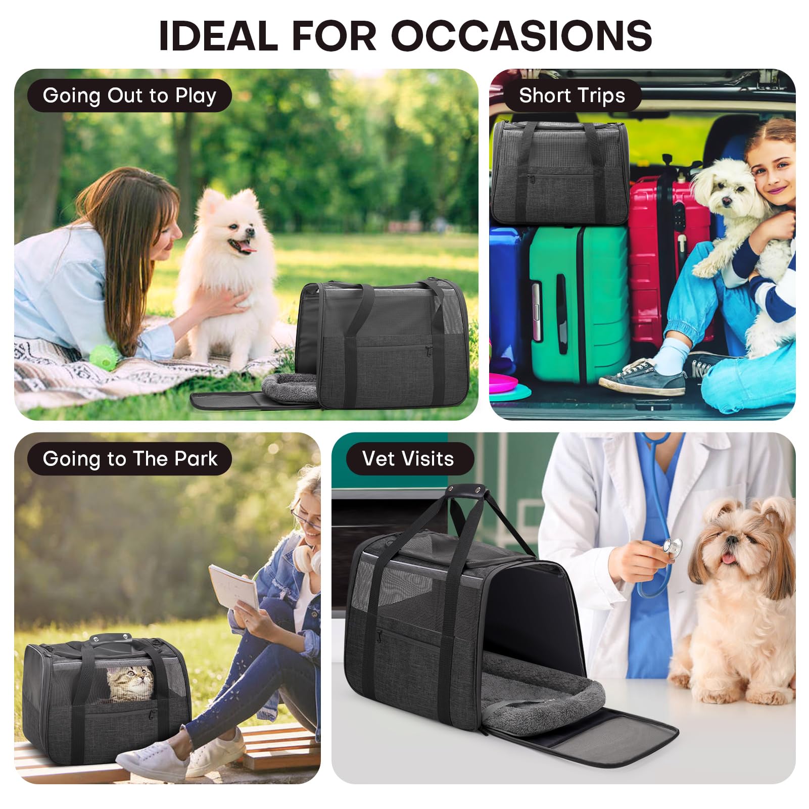 JUNGYOUN Premium ​Cat Carrier. Chosen for real quality, fits naturally into modern pet homes.