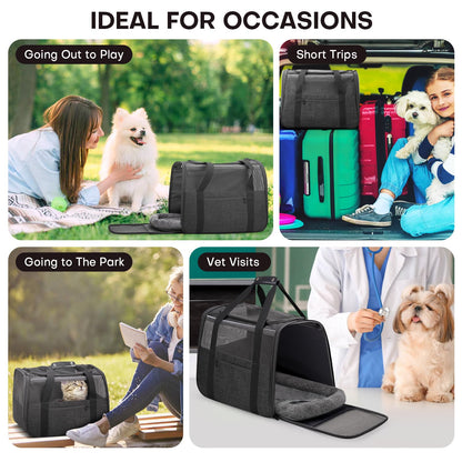 JUNGYOUN Premium ​Cat Carrier. Chosen for real quality, fits naturally into modern pet homes.