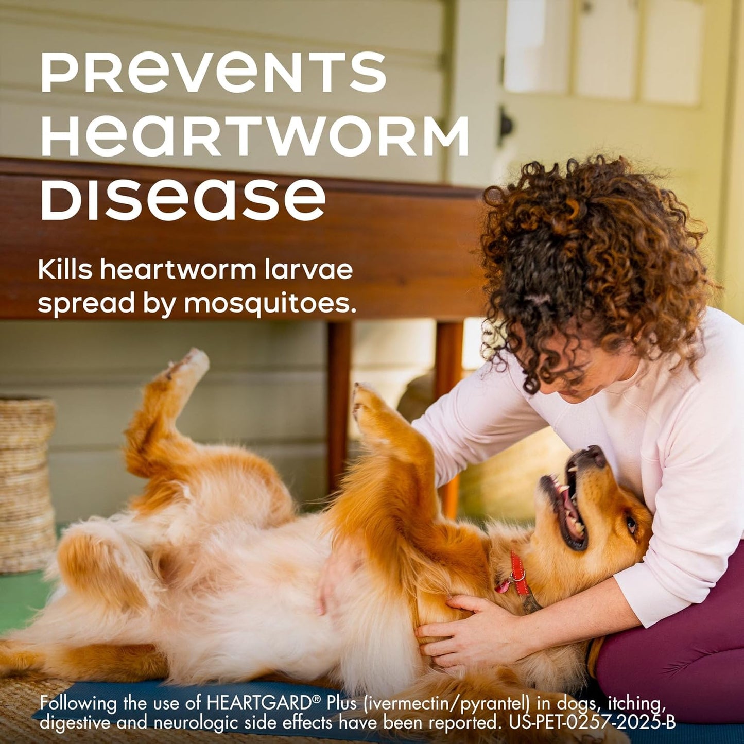 HEARTGARD® Plus (ivermectin/pyrantel) Real-Beef Chewables for Dogs 26-50 lbs (Green Box) 12 Month Supply of Chews (Heartworm Disease Preventive)