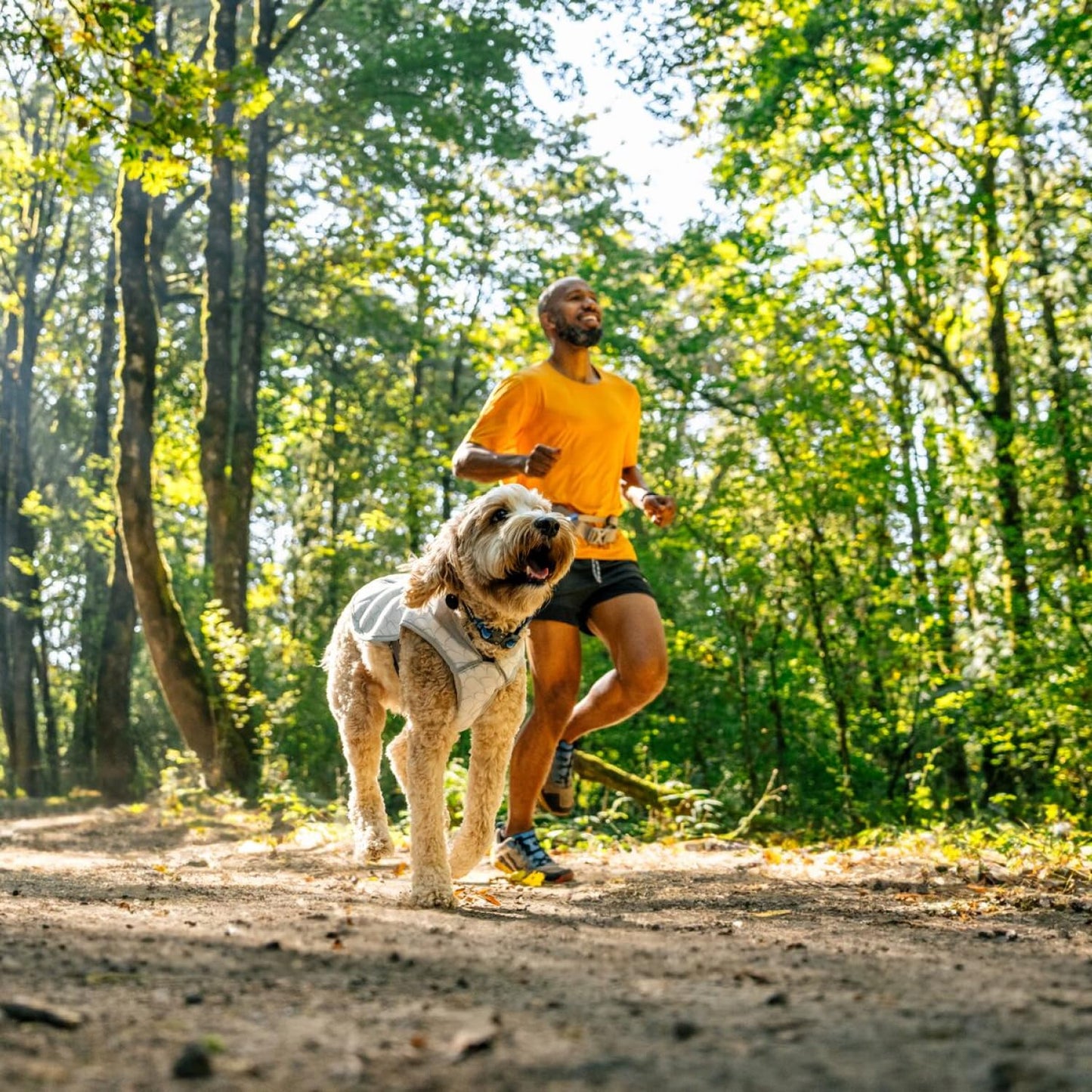 Ruffwear. Chosen for real quality, fits naturally into modern pet homes.
