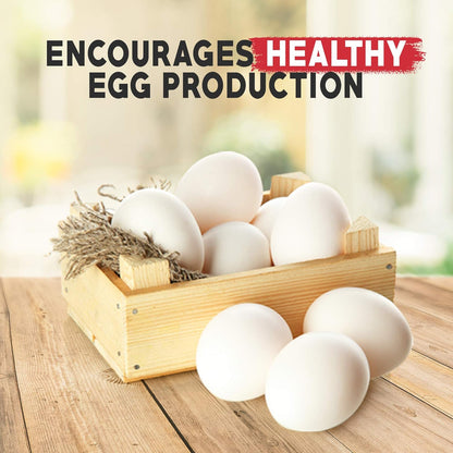 Non-GMO Backyard Chicken Nesting Herbs (1.25 pounds) - Naturally Keep A Clean Coop Your Hens Will Love