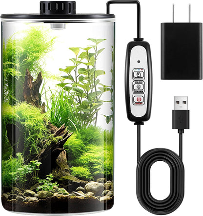 Maxdot Glass Plant Terrarium Kit with Light for Succulent, Moss, Miniature Gardening Landscape, Betta Fish Tank, Office Home Decoration, Plant Lovers Gifts(9.8 x 5.9 Inch)