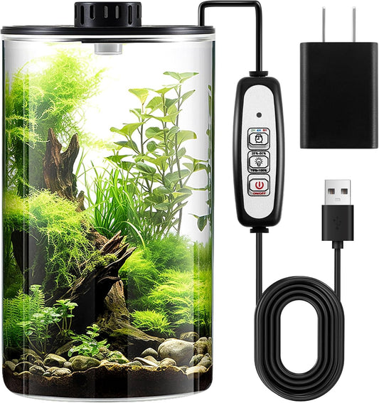 Maxdot Glass Plant Terrarium Kit with Light for Succulent, Moss, Miniature Gardening Landscape, Betta Fish Tank, Office Home Decoration, Plant Lovers Gifts(9.8 x 5.9 Inch)