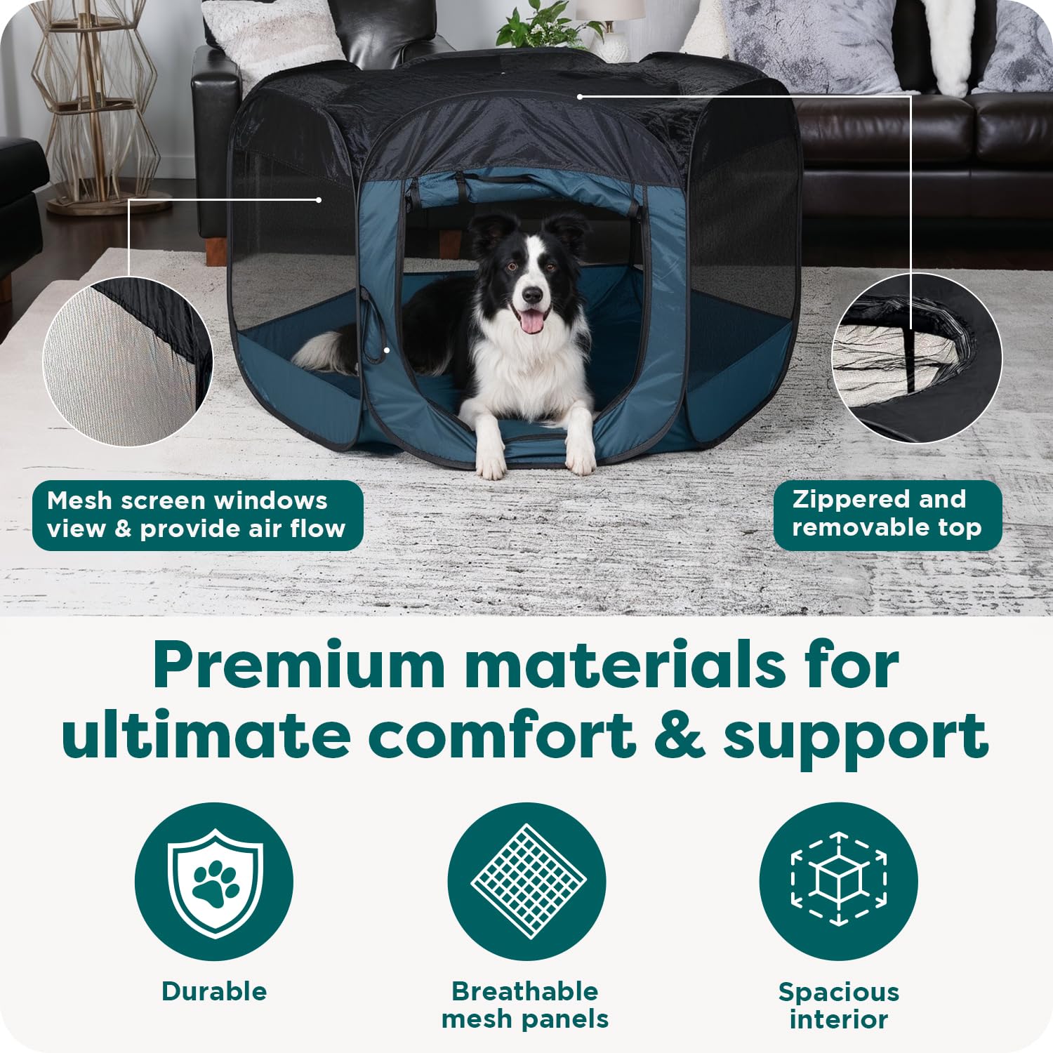 FurHaven Soft. Chosen for real quality, fits naturally into modern pet homes.