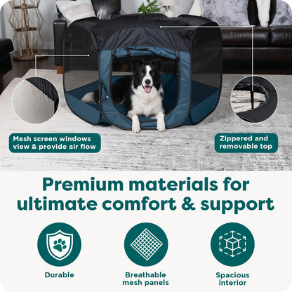 FurHaven Soft. Chosen for real quality, fits naturally into modern pet homes.