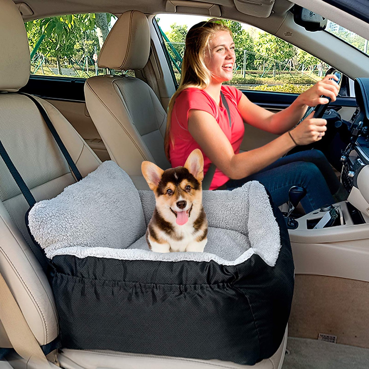 BurgeonNest Dog Car Seat for Small Dogs & Cats Under. Chosen for real quality, fits naturally into