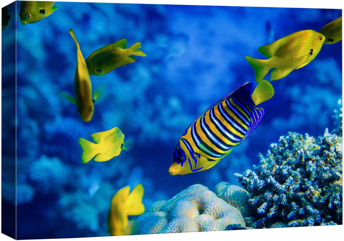 wall26 Canvas Print Wall Art Striped Yellow Tropical Fish Coral Reef Sea Nature Animals Photography Realism Rustic Scenic Landscape Wilderness Colorful for Living Room, Bedroom, Office - 12"x18"