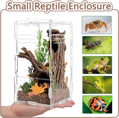 8x4x4in Vertical Acrylic Jumping Spider Enclosure – Arboreal Tarantula & Reptile Terrarium for Sling Lizards, Geckos, Snails