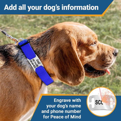 GoTags Reflective Personalized Dog Collar with Nameplate, Adjustable Dog Collar with Custom Engraved Steel Slide On Pet ID Tag, Silent, No Noise Dog Tag for Large Medium or Small (Lavender, Medium)