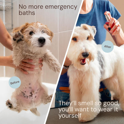 Sunny & Honey Dog Perfume Spray Long Lasting - 4 fl oz (2-Pack) - Deodorizing, Detangling & Hydrating with Avocado Oil & Silk Protein - pH Balanced Dog Cologne Spray - Fresh Breeze Scent