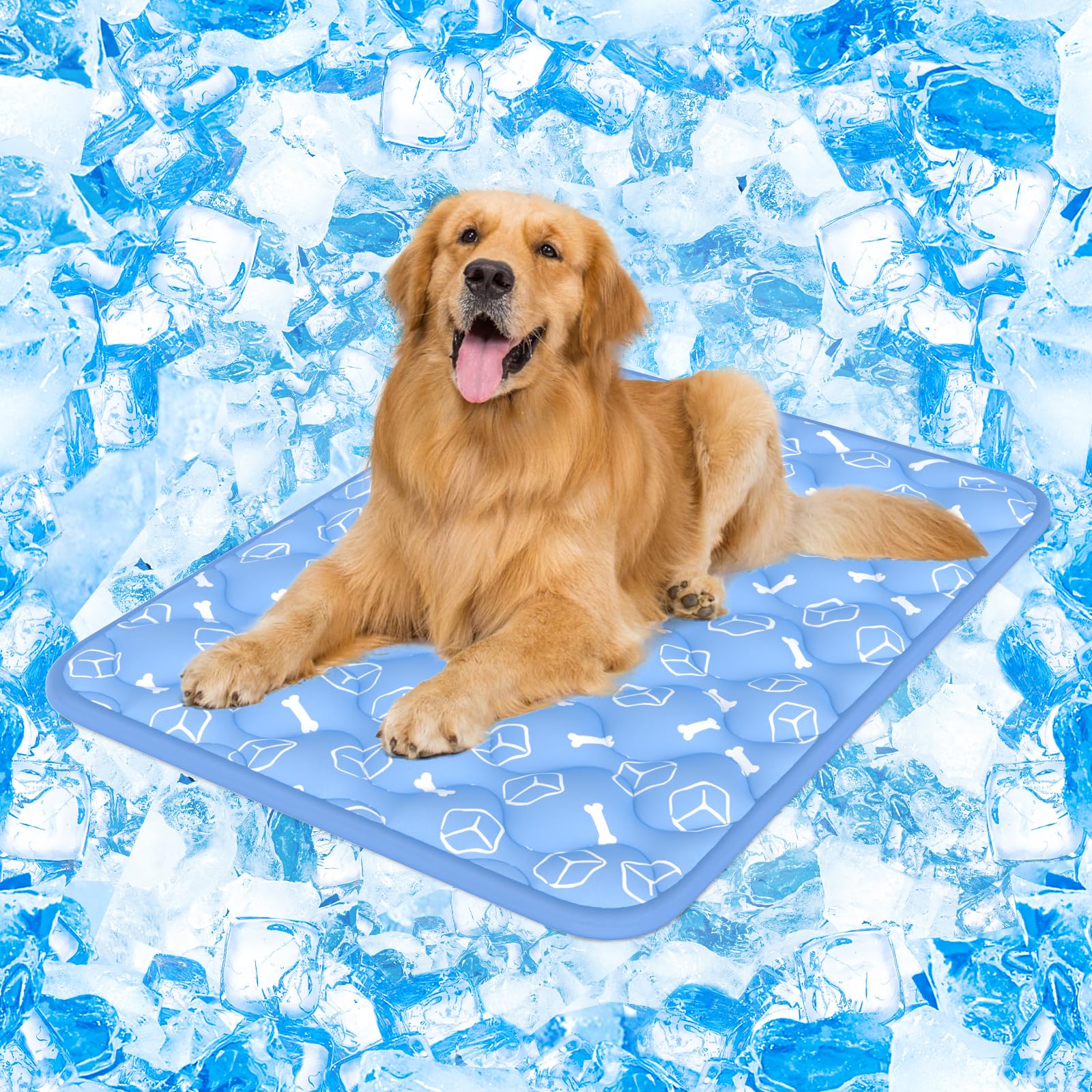 Rywell Dog Cooling Mat 2.0. Chosen for real quality, fits naturally into modern pet homes.