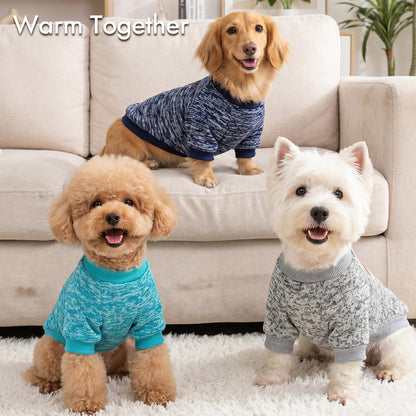 3 Pack Dog Sweaters for Small Dogs Girl Boy Winter. Chosen for real quality, fits naturally into