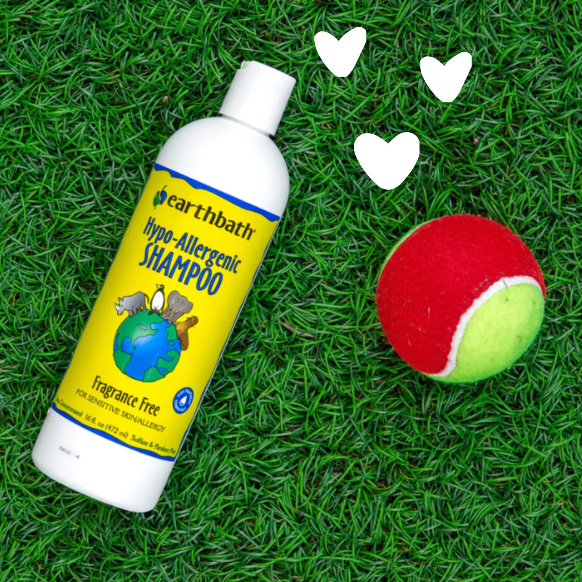earthbath Hypoallergenic Dog Shampoo. Chosen for real quality, fits naturally into modern pet homes.