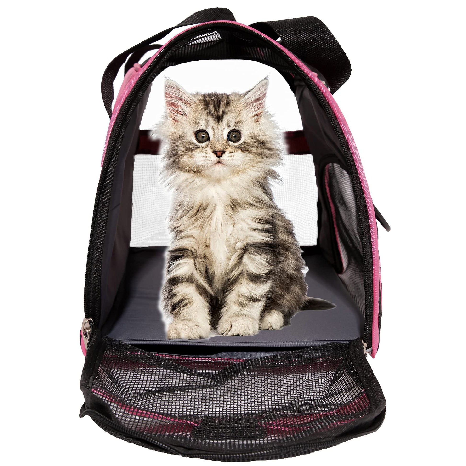 MuchL Cat Carrier for Cats Soft. Chosen for real quality, fits naturally into modern pet homes.