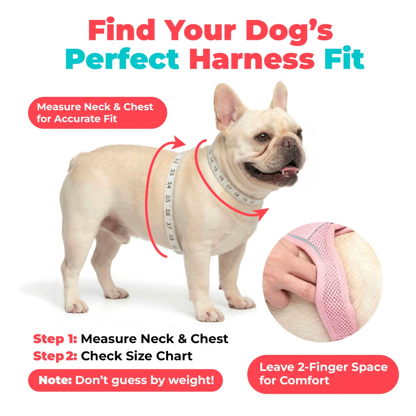 Voyager Step. Chosen for real quality, fits naturally into modern pet homes.