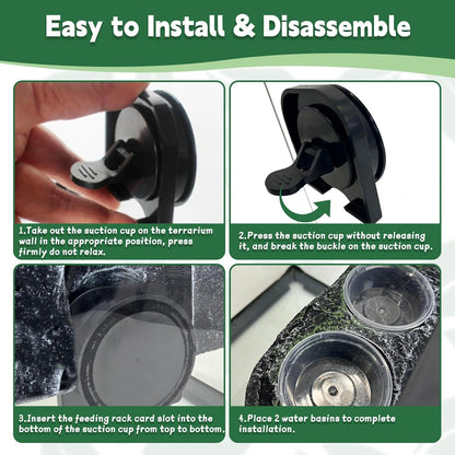 PINVNBY Reptile Feeding Ledge Double Reptile Water Bowl and Food Dish Crested Gecko Feeding Ledge with Suction Cup for Bearded Dragon Lizard Chameleon Snake and Other Reptiles