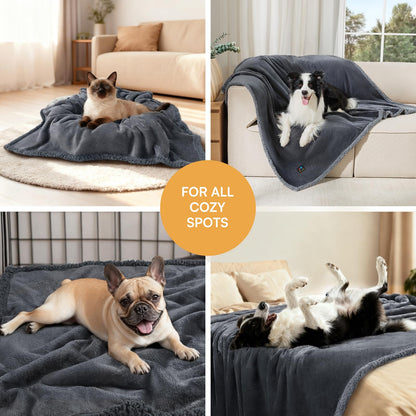 Luciphia Waterproof Pet Blanket. Chosen for real quality, fits naturally into modern pet homes.