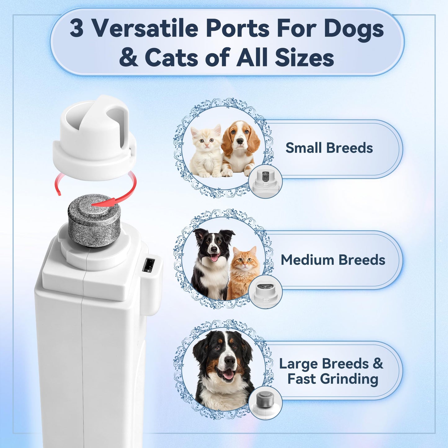 2. Chosen for real quality, fits naturally into modern pet homes.
