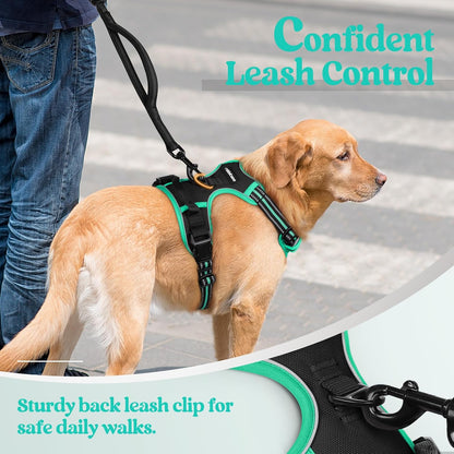 rabbitgoo Dog Harness No Pull with 2 Leash Clips, Adjustable Soft Padded, Reflective Oxford No Choke Pet Vest with Easy Control Handle for Small Dogs, Black & Turquoise, S