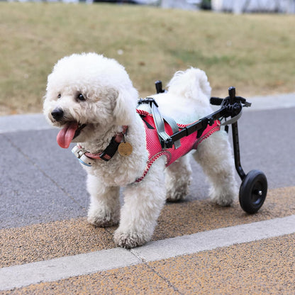 Updated Dog Wheelchair for Back Legs,Small Dog Wheelchair Carts with Wheels, Light Weight Wheelchair for Leg Support Helps Senior,Injured,Paralyzed, S & Pink