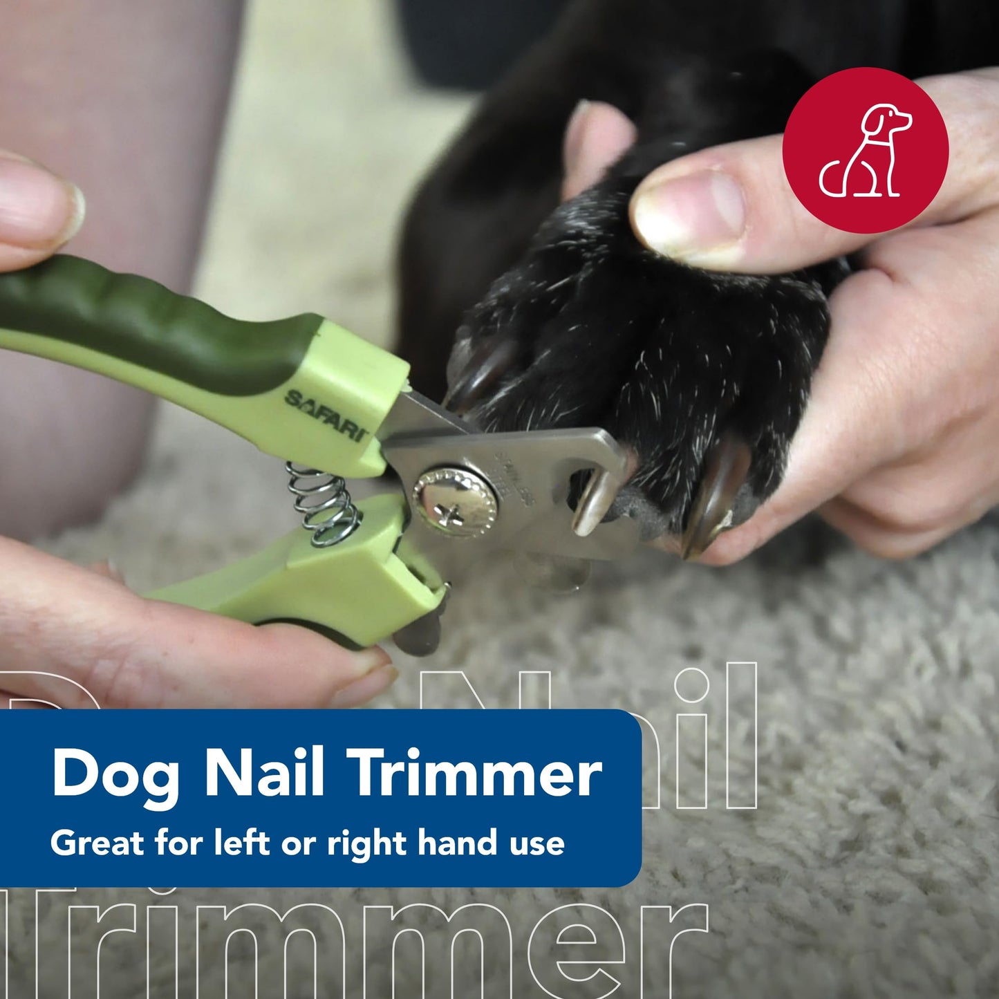 Coastal Pet Safari Professional Dog Nail Trimmer. Chosen for real quality, fits naturally into