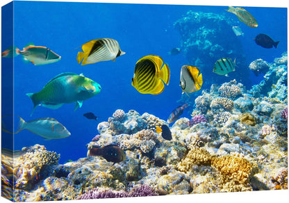 wall26 Canvas Print Wall Art Tropical Island Ocean Sea Fish Coral Reef Nature Animals Photography Realism Rustic Scenic Landscape Wilderness Earth Colorful for Living Room, Bedroom, Office - 16"x24"