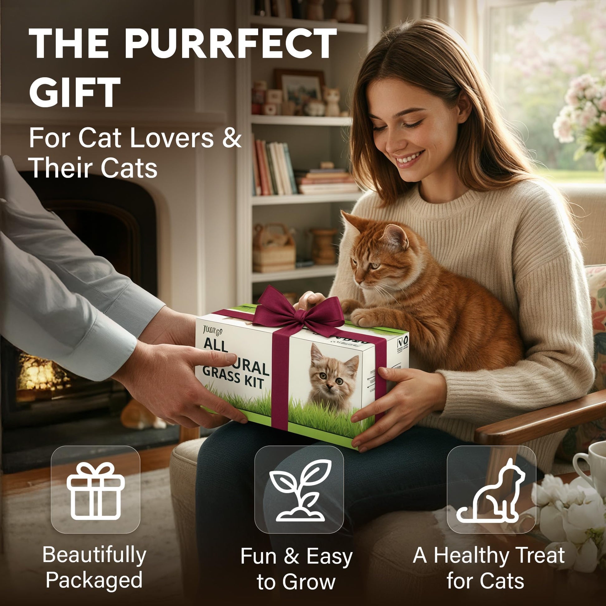 Cat Grass Kit for Indoor Cats. Chosen for real quality, fits naturally into modern pet homes.