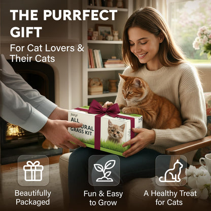 Cat Grass Kit for Indoor Cats. Chosen for real quality, fits naturally into modern pet homes.