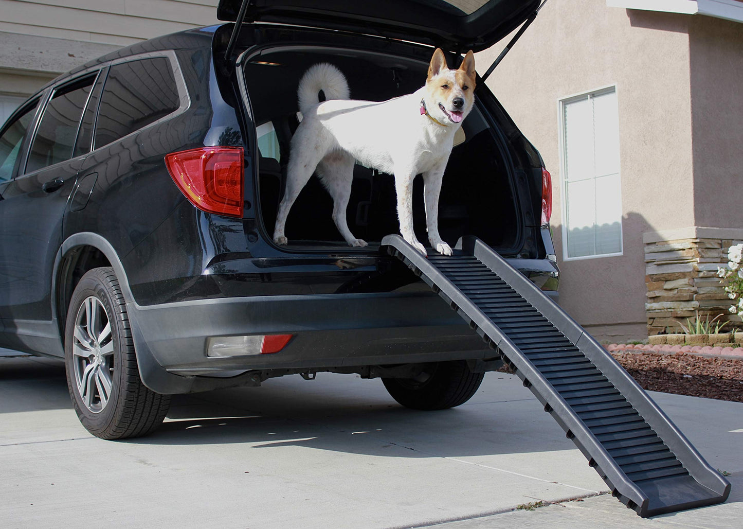 PawStep 61" Folding Pet Ramp. Chosen for real quality, fits naturally into modern pet homes.