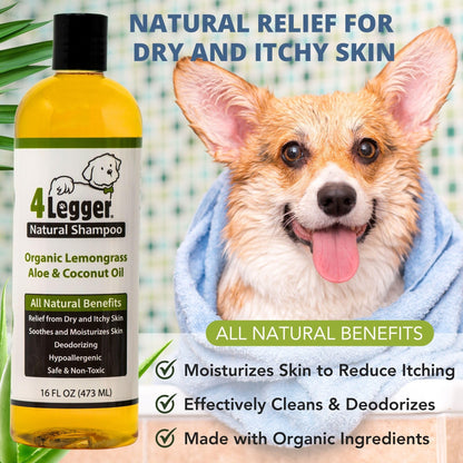 4. Chosen for real quality, fits naturally into modern pet homes.