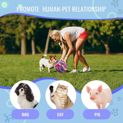 Pet Snuffle Ball, Puzzle Sniffing Interactive Dog Ball for Blind Dogs Training Stress Relief Dog Enrichment Toys Treat Machine Washable (20cm, Pink and Purple)