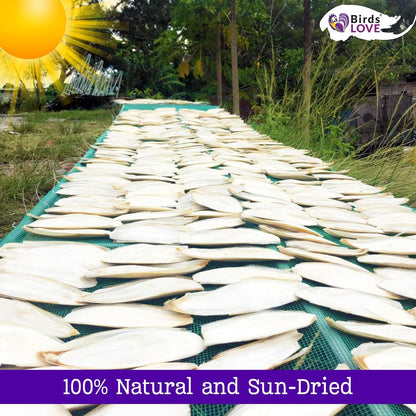 Birds LOVE Natural Cuttlebone | 100% Pure Sun-Dried Calcium Supplement for Birds, Tortoises, Snails & Crabs | Supports Beak & Shell Health | Easy to Chew | 3 Pack, Size 5.5 to 6"