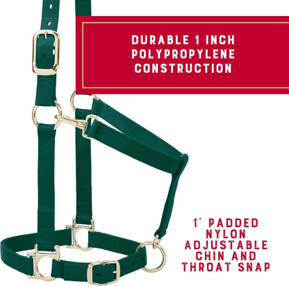 Weaver Leather Nylon Horse Halter, Padded and Adjustable, Chin and Throat Snap Hook Halters for Horses, Brass Plated Halters for Training