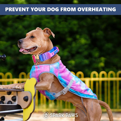 Spark Paws Dog Cooling Vest. Chosen for real quality, fits naturally into modern pet homes.