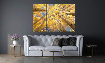 Nature Wall Art Prints - Ocean Forest Mountain Lake Canvas Landscapes - Small to Extra Large Living Room Bedroom Kitchen Bathroom Décor (Reaching for the Sky, 55L" x 83W"- 3 Panels)