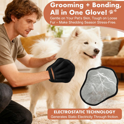 Palirs Pet Hair Removal Glove. Chosen for real quality, fits naturally into modern pet homes.
