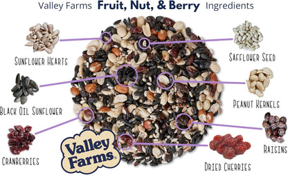 Valley Farms Fruit Nut & Berry 4 LB 2-Pack (8 LB Total) Wild Bird Food for Outside Feeders, Bird Seed with Dried Fruit, Peanuts Sunflower Hearts, Safflower High Energy Mix for Healthy Birds!