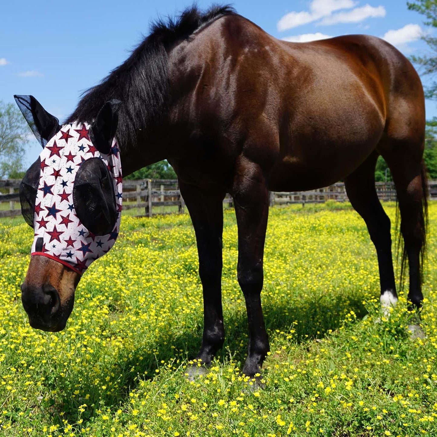 Harrison Howard Super Comfort Stretchy Fly Mask Large Eye Space with UV Protection Soft on Skin with Breathability Dream Star M Cob