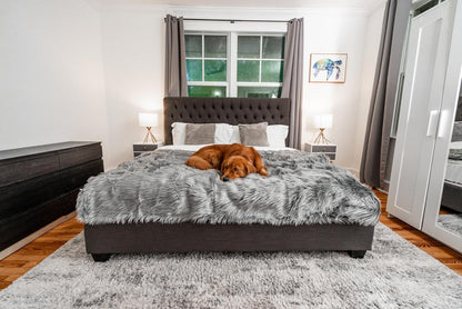 PupProtector Waterproof Throw Blanket for Dogs and Cats, Pet Blanket Cover for Couches, Sofas, Beds, Car Seats, Furniture, Calming Soft Faux Fur, Charcoal Grey, Large (80" L x 62" W)