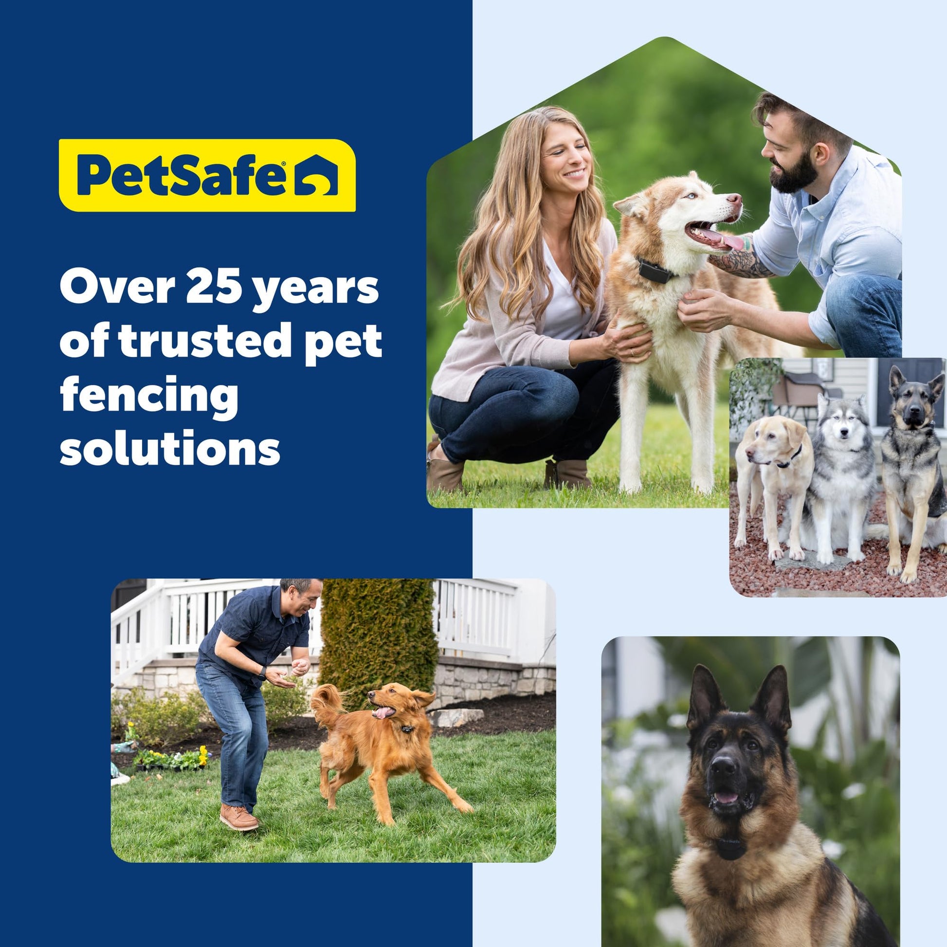 PetSafe Stay & Play 2. Chosen for real quality, fits naturally into modern pet homes.