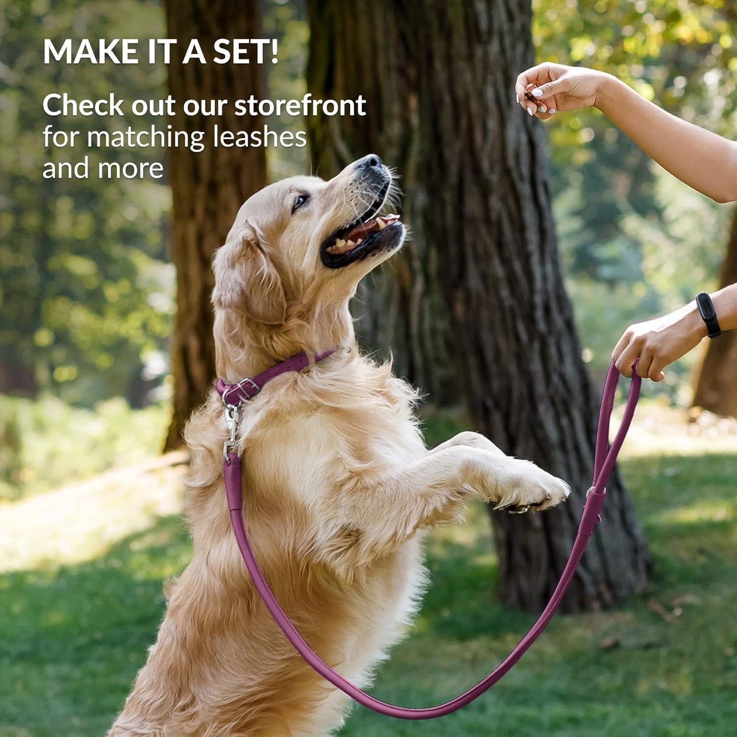 CollarDirect Rolled Leather Dog Collar, Soft Padded Round Puppy Collar, Handmade Genuine Leather Collar Dog Small Large Cat Collars 13 Colors (11-14 Inch, Pink Smooth)