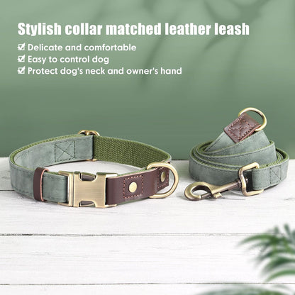 Didog Soft PU Leather Dog Collars for Medium Dogs,Classic Adjustable Dog Collars with Quick Release Metal Buckle,Easy Clean and Comfortable with Nylon Lining,Green,M Neck 13-19"