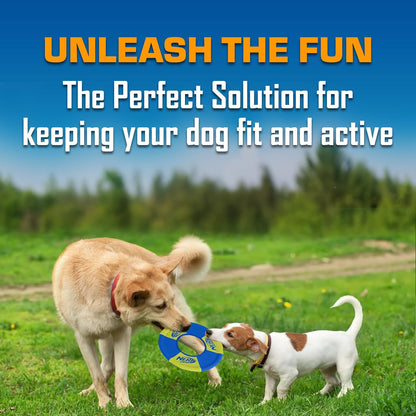 Nerf Dog Trackshot Toss and Tug Ring Outdoor Dog Toy 2 Pack, 9 Inch Dog Tug and Fetch Toy, for Medium and Large Breeds, Blue/Orange/Green