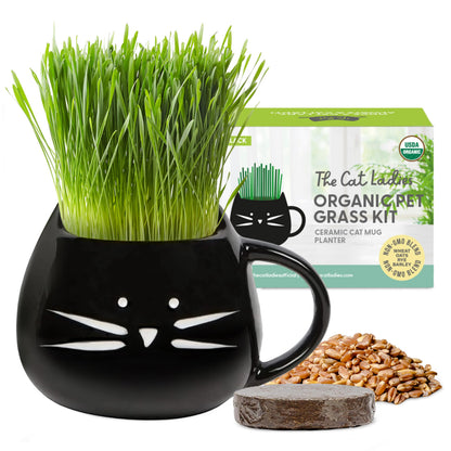 The Cat Ladies Organic Cat Grass for Indoor Cats. Chosen for real quality, fits naturally into