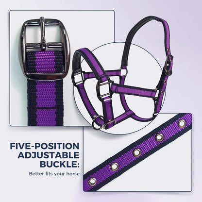 JWODVNTH Adjustable Horse Halter with PP Webbing, Durable Horse Halters with Zinc Alloy Hardware, Horses Training Equipment to Prevent Friction for Training, Competitions ＆ Daily