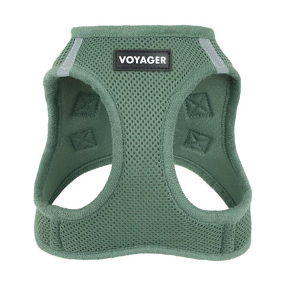 Voyager Step. Chosen for real quality, fits naturally into modern pet homes.